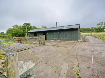 Picture 30